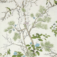 Thibaut Grand Palace Katsura Wallpaper (Double Roll)