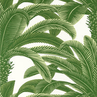 Palm Grove Queen Palm Wallpaper (Double Roll)
