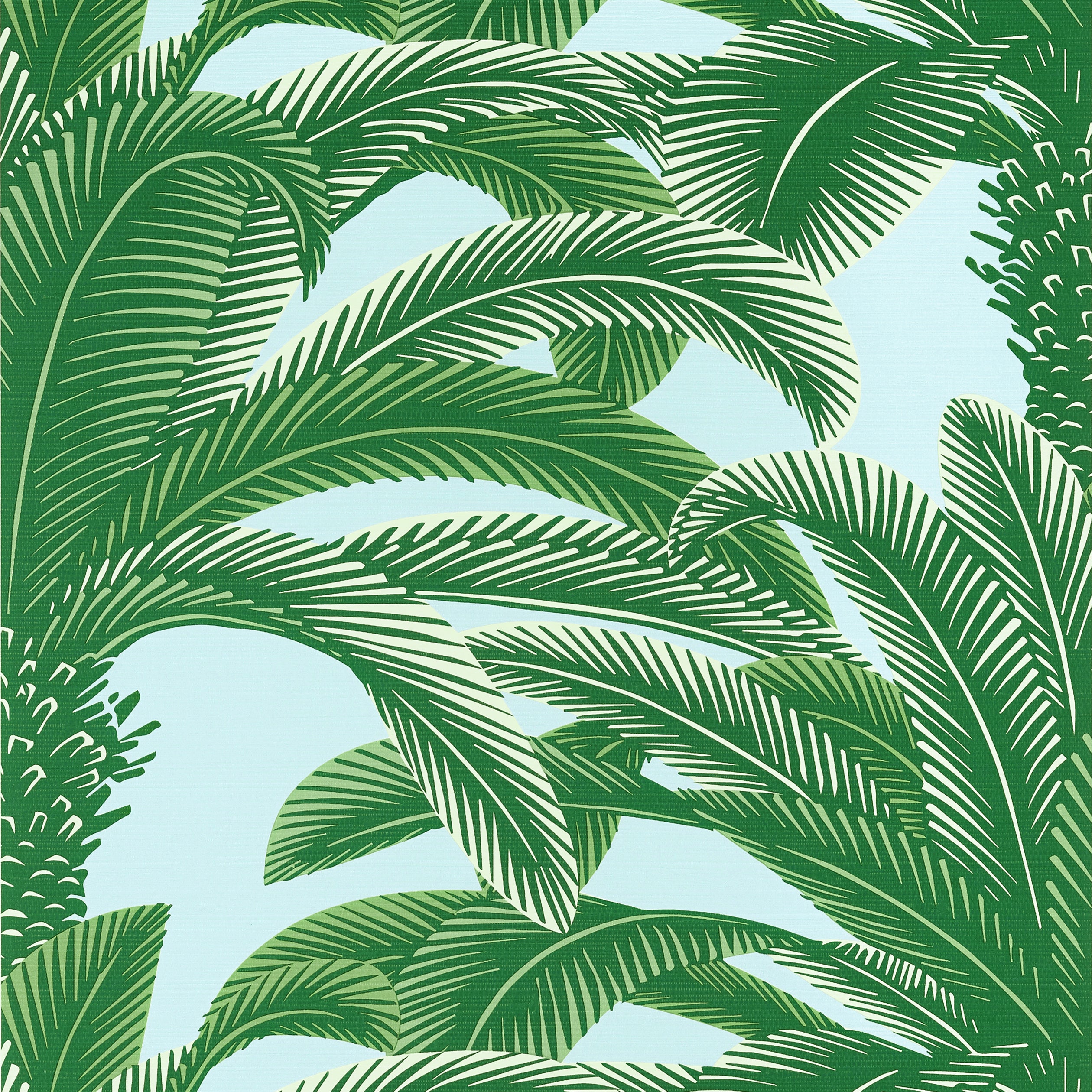 Palm Grove Queen Palm Wallpaper