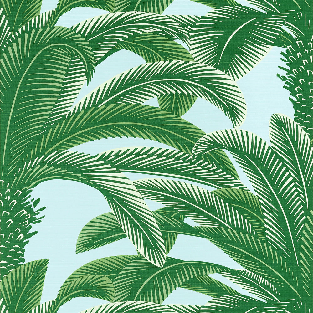 Palm Grove Queen Palm Wallpaper (Double Roll)