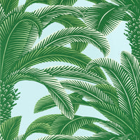 Palm Grove Queen Palm Wallpaper (Double Roll)