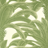 Palm Grove Queen Palm Wallpaper (Double Roll)