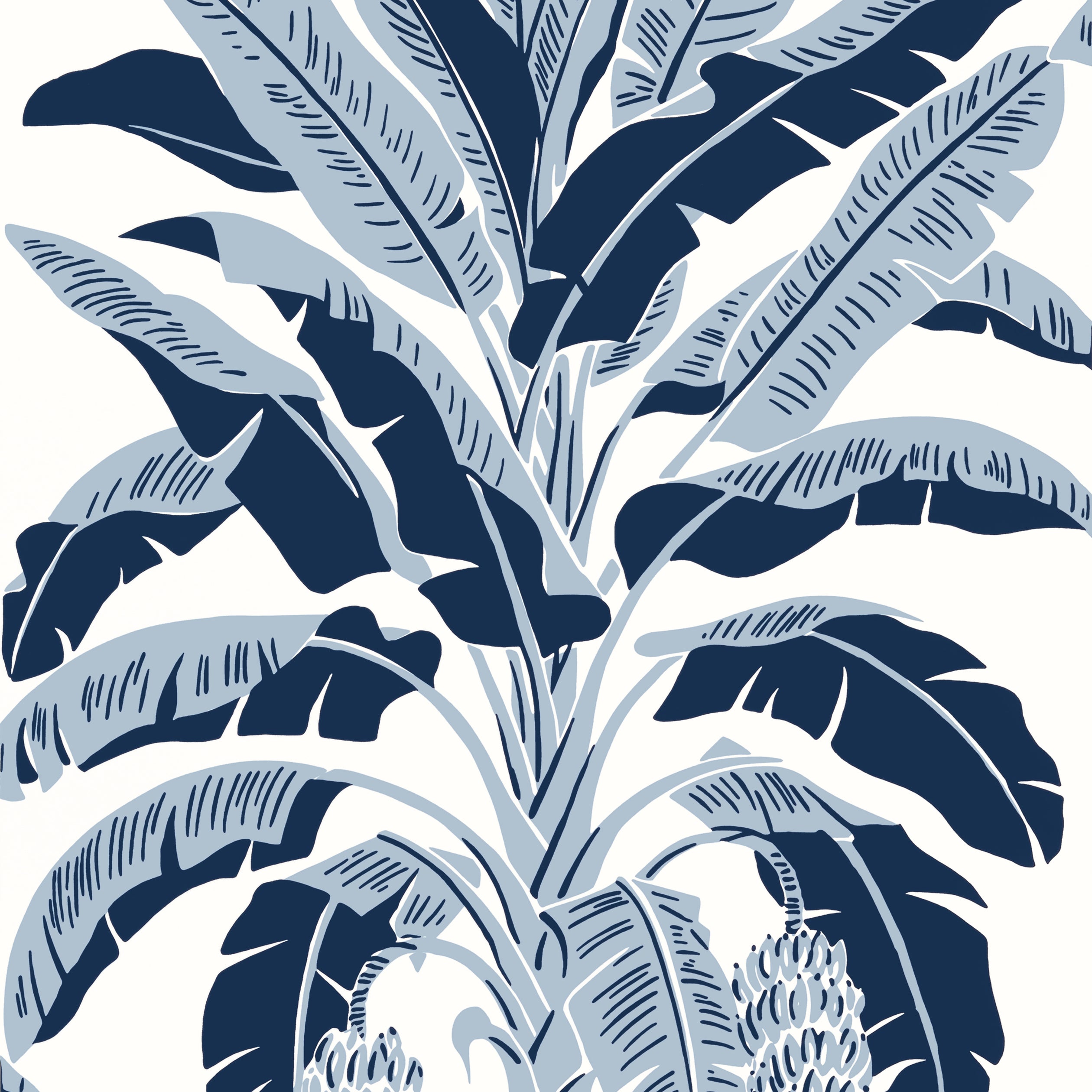 Palm Grove Banana Tree Wallpaper (Double Roll)