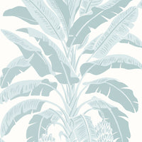 Palm Grove Banana Tree Wallpaper (Double Roll)