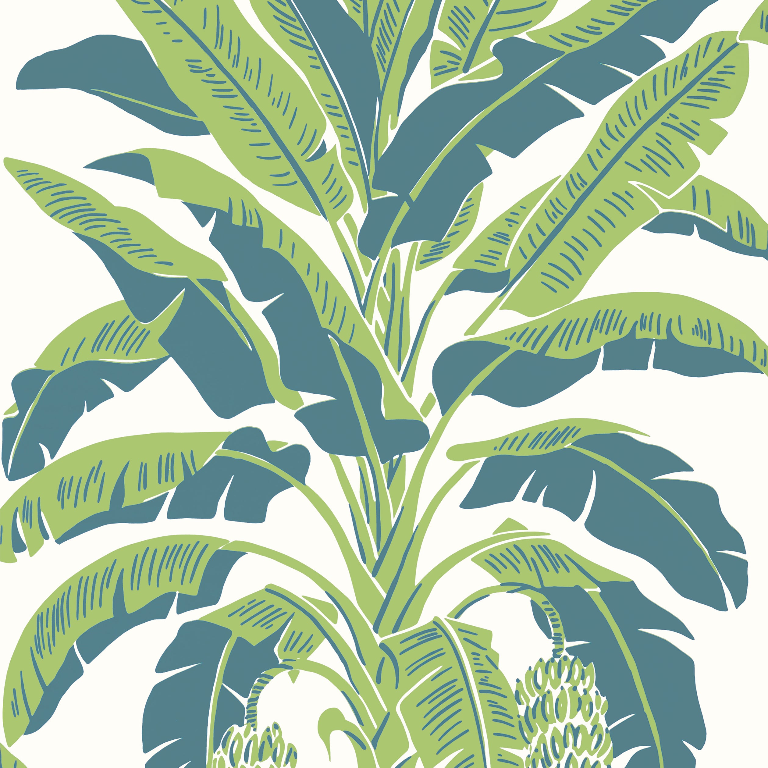 Palm Grove Banana Tree Wallpaper (Double Roll)