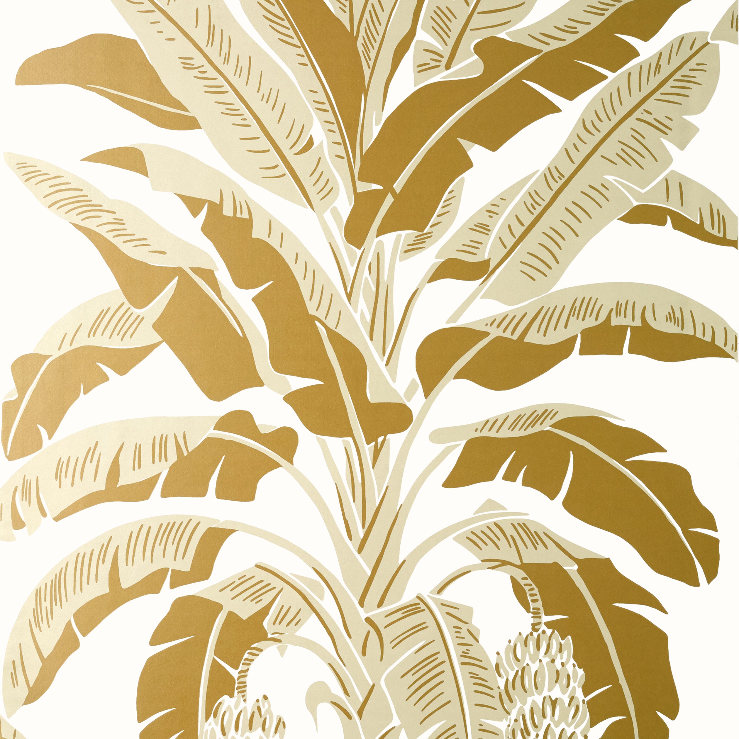 Palm Grove Banana Tree Wallpaper (Double Roll)