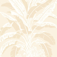 Palm Grove Banana Tree Wallpaper (Double Roll)