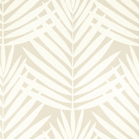 Palm Grove Croatia Wallpaper