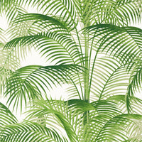 Palm Grove Delray Wallpaper (Double Roll)