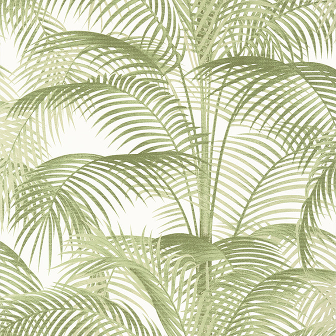 Palm Grove Delray Wallpaper (Double Roll)