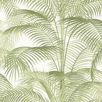 Palm Grove Delray Wallpaper (Double Roll)