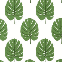 Palm Grove Monstera Wallpaper