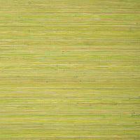 Grasscloth Resource 5 Raffia Palm Wallpaper (Double Roll)