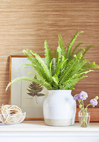 Texture Resource 7 Woodrow Wallpaper