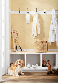 Texture Resource 8 Spiro Wallpaper