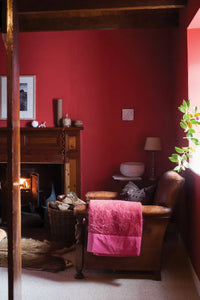 Farrow & Ball Archived Blazer NO.212 🚚 Free Shipping!