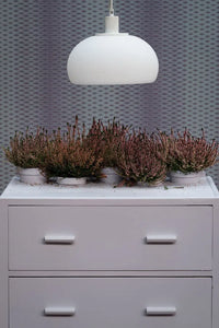 Farrow & Ball Calluna NO.270 🚚 Free Shipping!