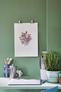 Farrow & Ball Breakfast Room Green NO.81 🚚 Free Shipping!