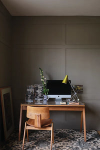 Farrow & Ball Broccoli Brown NO.198 🚚 Free Shipping! (BACK FROM ARCHIVE)