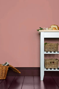 Farrow & Ball Cinder Rose NO.246 🚚 Free Shipping!