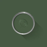 Farrow & Ball Archived Duck Green NO.W55 🚚 Free Shipping!
