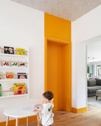 Farrow & Ball Archived Dutch Orange NO.W76 🚚 Free Shipping!