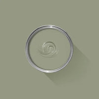 Farrow & Ball Lichen NO.19 🚚 Free Shipping!