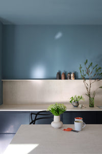 Farrow & Ball Kittiwake No.307 (NEW COLOUR) 🚚 Free Shipping!