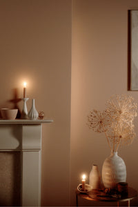 Farrow & Ball Templeton Pink No.303  🚚 Free Shipping!