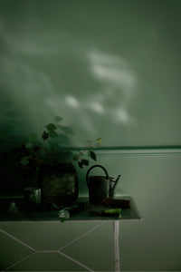 Farrow & Ball Whirlybird No.309  🚚 Free Shipping!