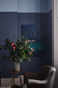 Farrow & Ball Wine Dark No.308  🚚 Free Shipping!