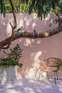 Farrow & Ball Setting Plaster NO.231 🚚 Free Shipping!