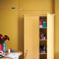 Farrow & Ball India Yellow NO.66 🚚 Free Shipping!