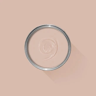 Farrow & Ball Archive Collection: Potted Shrimp No. 9906 🚚 Free Shipping!