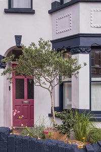 Farrow & Ball Archived Rangwali NO.296 🚚 Free Shipping!