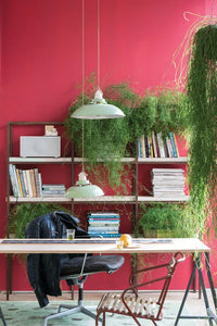 Farrow & Ball Archived Rectory Red NO.217 🚚 Free Shipping!