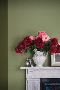 Farrow & Ball Sap Green NO.199 🚚 Free Shipping! (BACK FROM ARCHIVE)