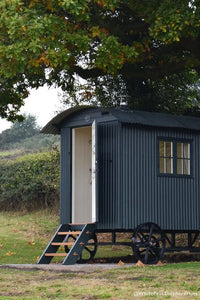 Farrow & Ball Studio Green NO.93 🚚 Free Shipping!