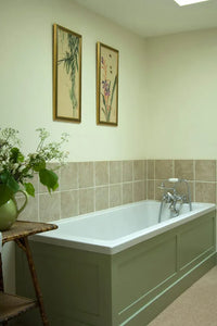 Farrow & Ball Vert De Terre NO.234 🚚 Free Shipping!