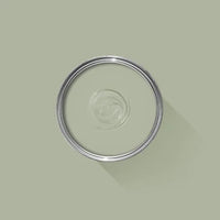 Farrow & Ball Vert De Terre NO.234 🚚 Free Shipping!