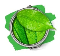 Paint Scentsatsations-Exeter Paint Stores