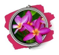 Paint Scentsatsations-Exeter Paint Stores