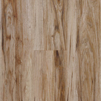 NextFloor Incredible Light Oak 525 204 LVT Carton
