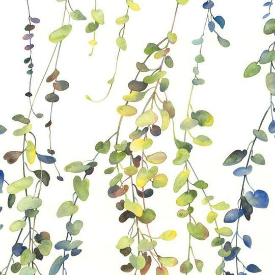 Hanging Watercolor Vines Peel & Stick Wallpaper-Exeter Paint Stores