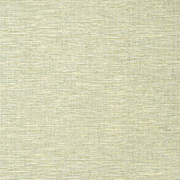 Thibaut Spiro Wallpaper (Double Roll)