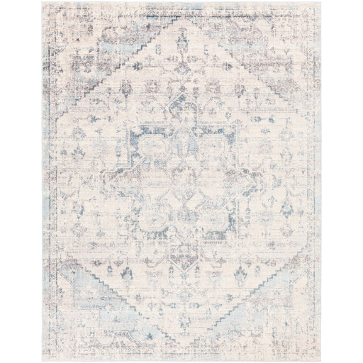 Surya Ankara AKR-2310 Multi-Color Rug-Rugs-Exeter Paint Stores