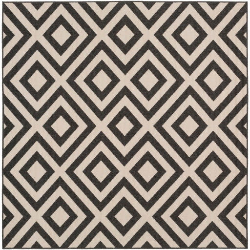 Surya Alfresco ALF-9639 Multi-Color Rug-Rugs-Exeter Paint Stores