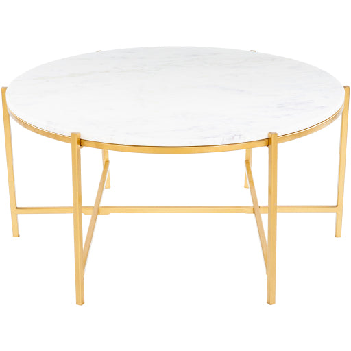 Surya Anaya Coffee Table-Accent Furniture-Exeter Paint Stores