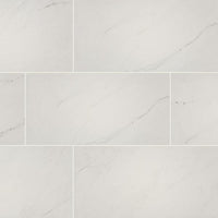 Aria Ice Porcelain 12''x24'' Tile-Exeter Paint Stores