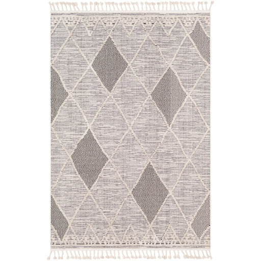 Surya Azilal AZI-2304 Multi-Color Rug-Rugs-Exeter Paint Stores